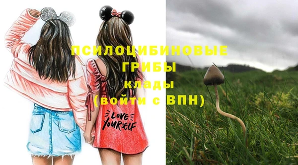 метадон Струнино