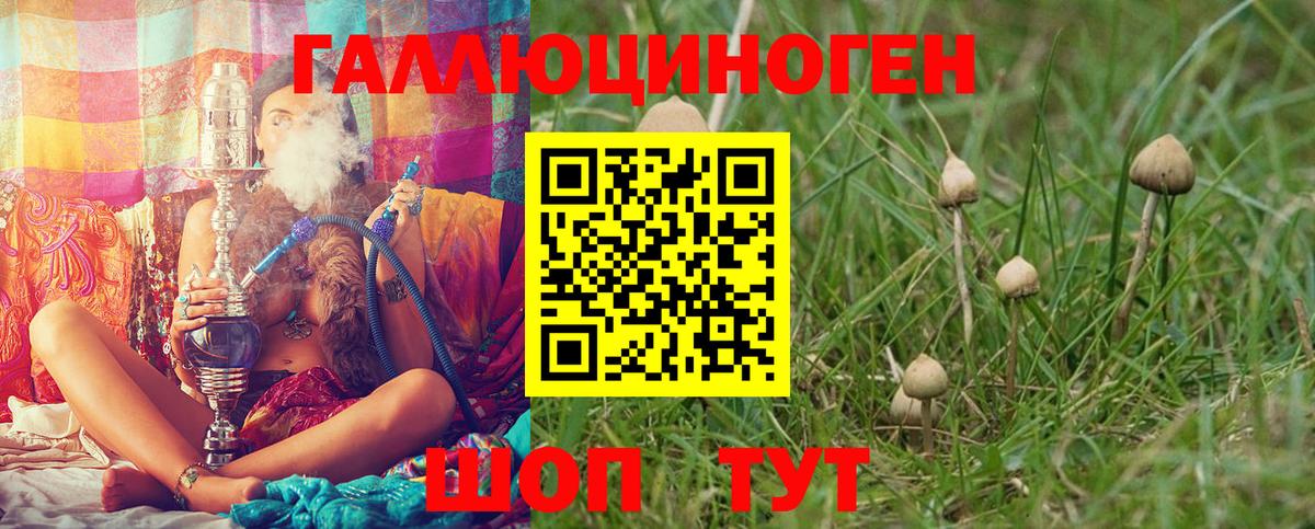 Псилоцибиновые грибы Psilocybe Выкса