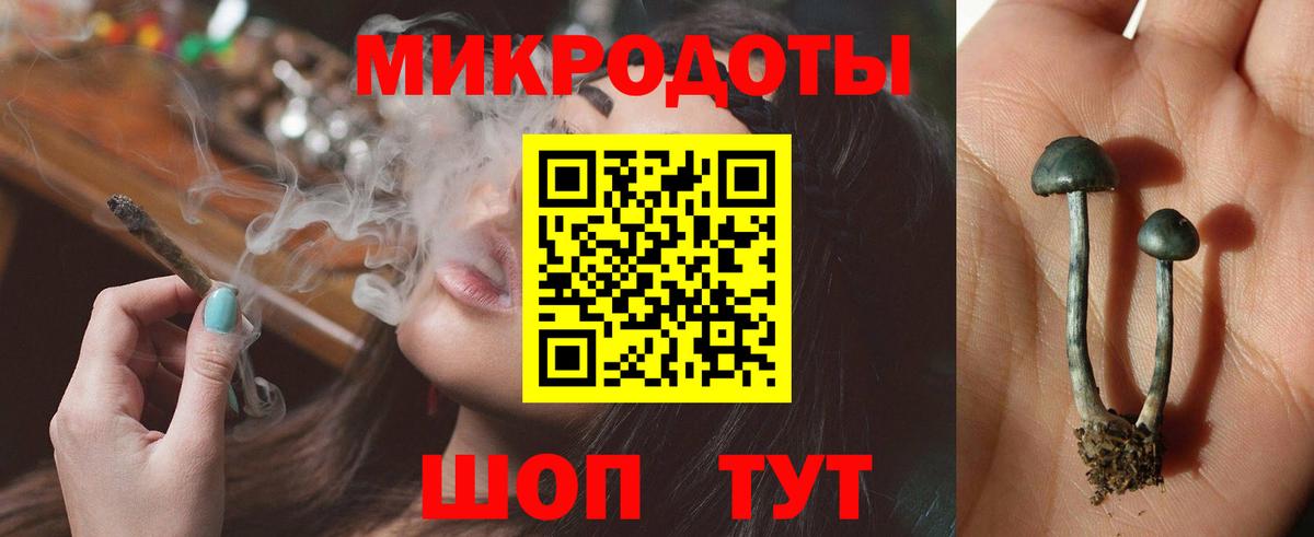 Галлюциногенные грибы Cubensis  Выкса 